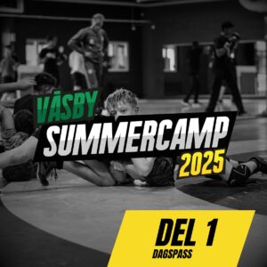 VSC2025 - Dagspass