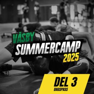 VSC2025 - Dagspass